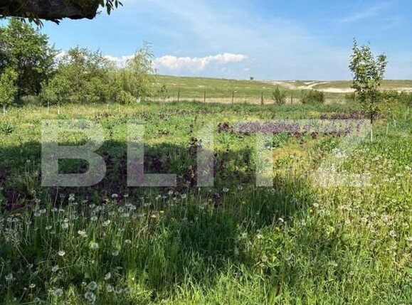 Casa de vânzare 3 camere Ocna Mures - 205050CV | BLITZ Alba Iulia | Poza2