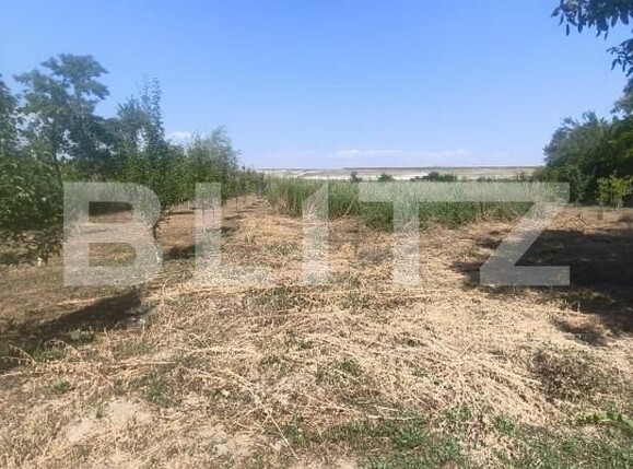 Casa de vânzare 3 camere Ocna Mures - 205050CV | BLITZ Alba Iulia | Poza10