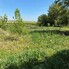 Casa de vânzare 3 camere Ocna Mures - 205050CV - Poza 1 din 25 | BLITZ Alba Iulia | Poza10