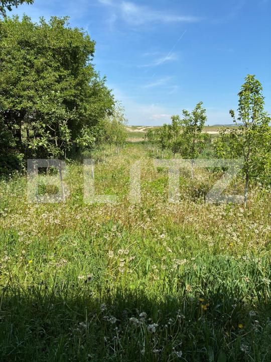 Casa de vânzare 3 camere Ocna Mures - 205050CV | BLITZ Alba Iulia | Poza3