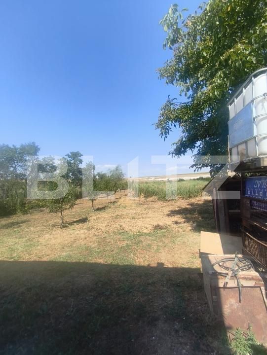 Casa de vânzare 3 camere Ocna Mures - 205050CV | BLITZ Alba Iulia | Poza8