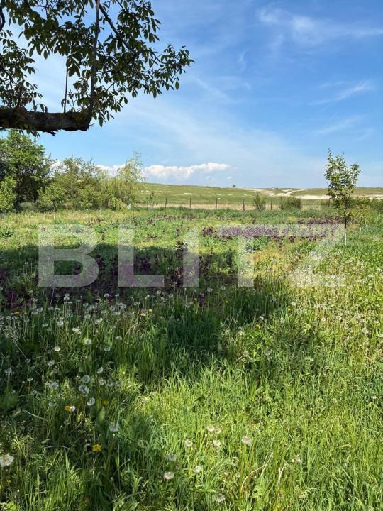 Casa de vânzare 3 camere Ocna Mures - 205050CV | BLITZ Alba Iulia | Poza25