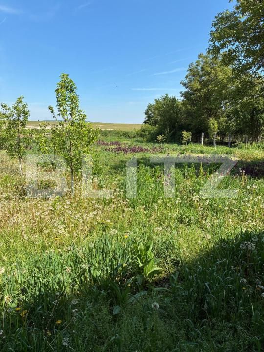 Casa de vânzare 3 camere Ocna Mures - 205050CV | BLITZ Alba Iulia | Poza24