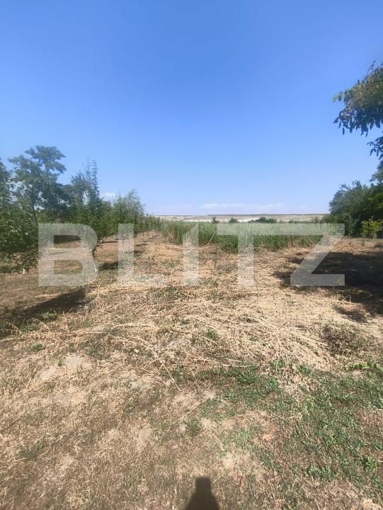 Casa de vânzare 3 camere Ocna Mures - 205050CV | BLITZ Alba Iulia | Poza10
