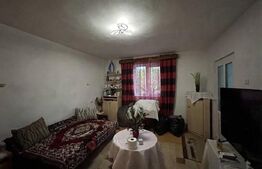 Casa de vanzare-6000mp teren