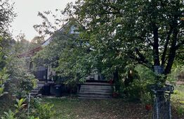 Casa de vanzare, 207 mp, 6000 mp teren, zona Coltesti