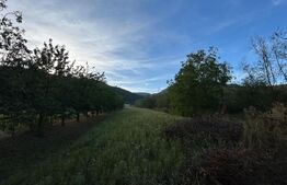 Casa de vanzare, 207 mp, 6000 mp teren, zona Coltesti
