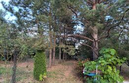 Casa de vanzare-6000mp teren
