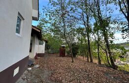 Casa de vanzare, 207 mp, 6000 mp teren, zona Coltesti