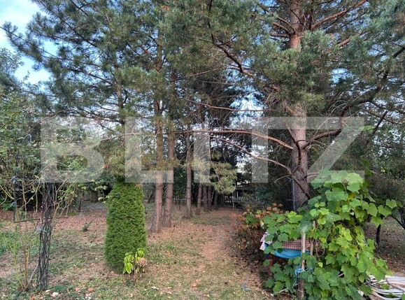 Casa de vânzare 3 camere Coltesti - 205059CV | BLITZ Alba Iulia | Poza4