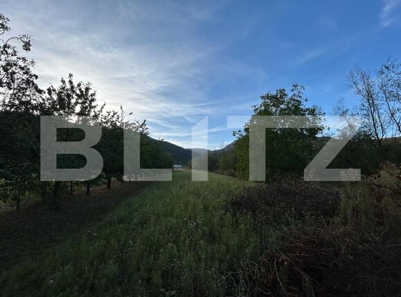 Casa de vânzare 3 camere Coltesti - 205059CV | BLITZ Alba Iulia | Poza2