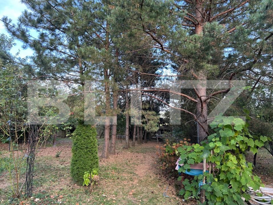 Casa de vânzare 3 camere Coltesti - 205059CV | BLITZ Alba Iulia | Poza4