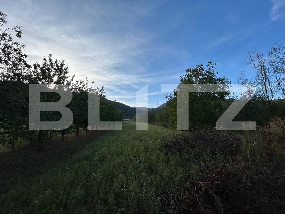 Casa de vânzare 3 camere Coltesti - 205059CV | BLITZ Alba Iulia | Poza2