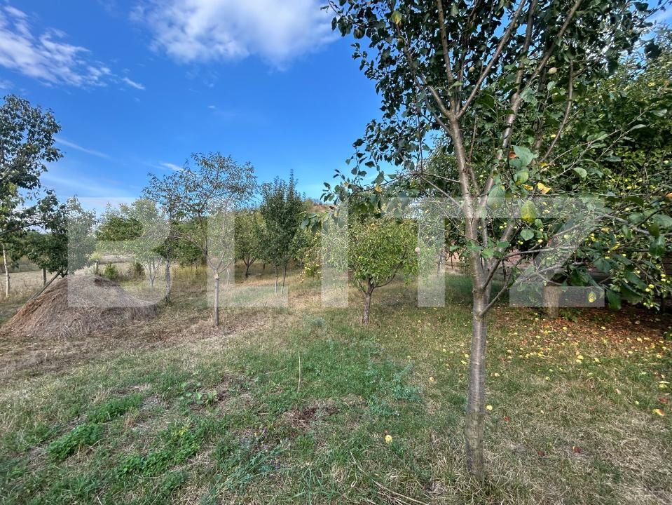 Casa de vânzare 3 camere Bucerdea Granoasa - 205437CV | BLITZ Alba Iulia | Poza6