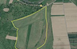 Teren agricol, 24.6 ha, zona Craciunelu de Jos
