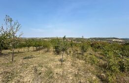 Teren extravilan de vanzare, 5.800 mp, zona Aiud