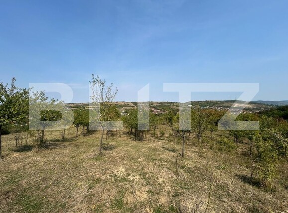 Teren de vânzare Aiud - 205593TV | BLITZ Alba Iulia | Poza1
