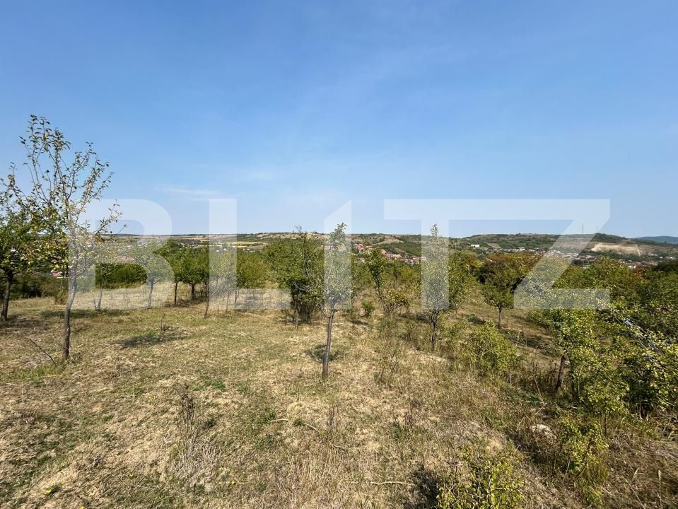Teren de vânzare Aiud - 205593TV | BLITZ Alba Iulia | Poza2