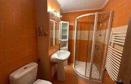 Apartament 2 camere, etaj 3, balcon, complet mobilat și utilat, Cetate
