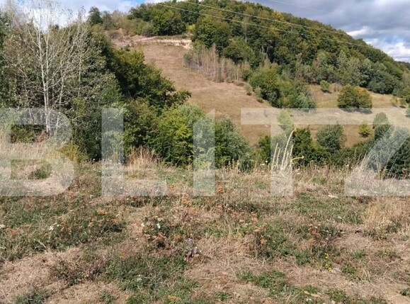 Teren de vânzare Ramet - 205908TV | BLITZ Alba Iulia | Poza1