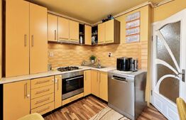 Apartament 3 camere,parter,2 bai,Cetate