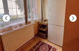 Apartament 3 camere,parter,2 bai,Cetate