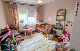 Apartament cu 4 camere, decomandat, Ampoi 3