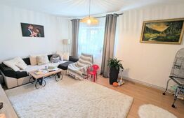 Apartament cu 4 camere, decomandat, Ampoi 3