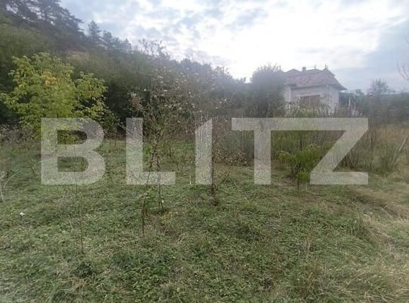 Casa de vânzare 5 camere Ocna Mures - 206940CV | BLITZ Alba Iulia | Poza7