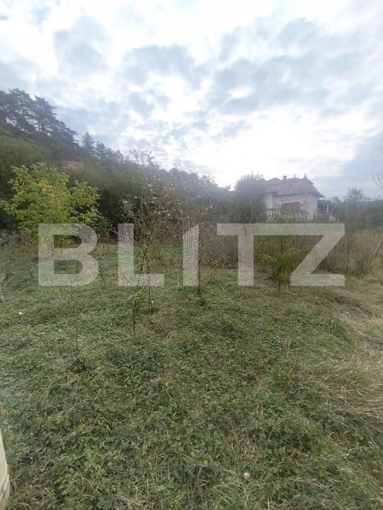 Casa de vânzare 5 camere Ocna Mures - 206940CV | BLITZ Alba Iulia | Poza7
