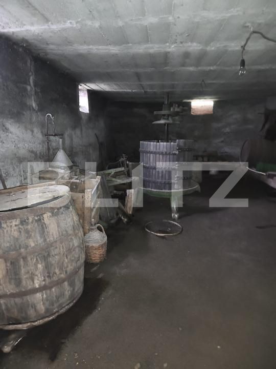 Casa de vânzare 5 camere Ocna Mures - 206940CV | BLITZ Alba Iulia | Poza8