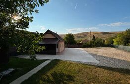 Casă de vânzare – proprietate cu teren generos de 2.800 mp, în Henig