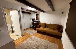 Casă de vânzare – proprietate cu teren generos de 2.800 mp, în Henig
