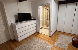 Casă de vânzare – proprietate cu teren generos de 2.800 mp, în Henig
