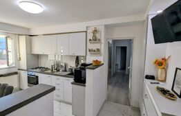 Apartament recent renovat, etaj intermediar, Cetate