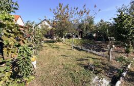 Casa 4 camere,curte si gradina 700 mp, Sebes