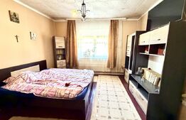 Casa 4 camere,curte si gradina 700 mp, Sebes