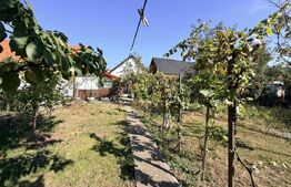Casa 4 camere,curte si gradina 700 mp, Sebes