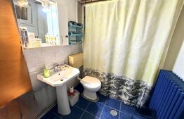 Casa 4 camere,curte si gradina 700 mp, Sebes
