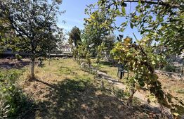 Casa 4 camere,curte si gradina 700 mp, Sebes