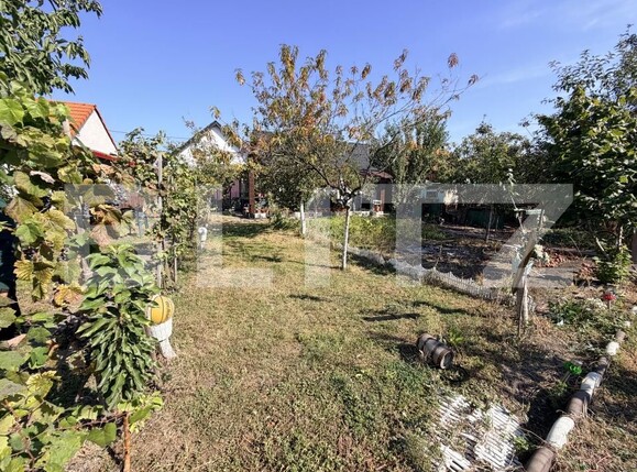 Casa de vânzare 4 camere Sebeș - 207158CV | BLITZ Alba Iulia | Poza11