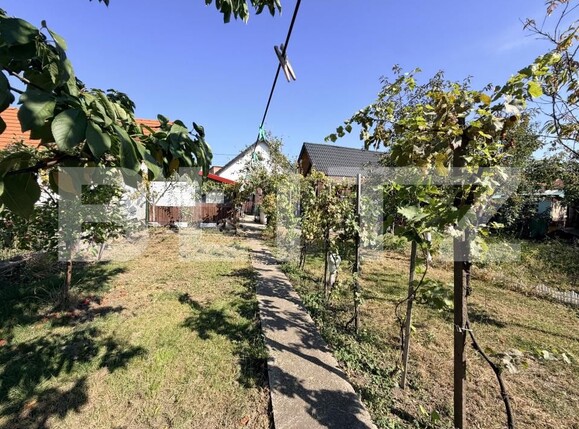 Casa de vânzare 4 camere Sebeș - 207158CV | BLITZ Alba Iulia | Poza10