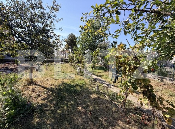 Casa de vânzare 4 camere Sebeș - 207158CV | BLITZ Alba Iulia | Poza6