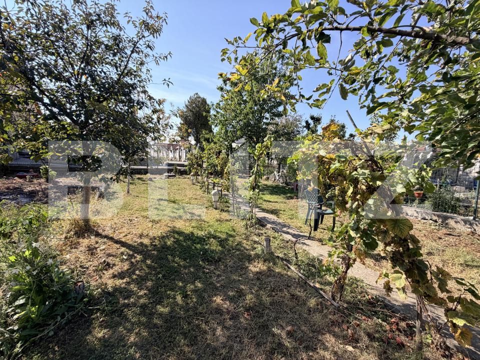 Casa de vânzare 4 camere Sebeș - 207158CV | BLITZ Alba Iulia | Poza6