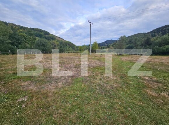 Teren de vânzare Ponorel - 207182TV | BLITZ Alba Iulia | Poza3