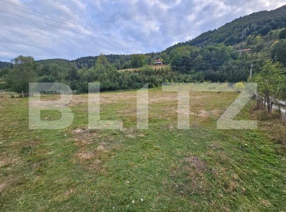 Teren de vânzare Ponorel - 207182TV | BLITZ Alba Iulia | Poza1