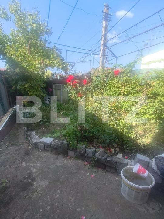 Casa de vânzare 2 camere Ocna Mures - 207261CV | BLITZ Alba Iulia | Poza2