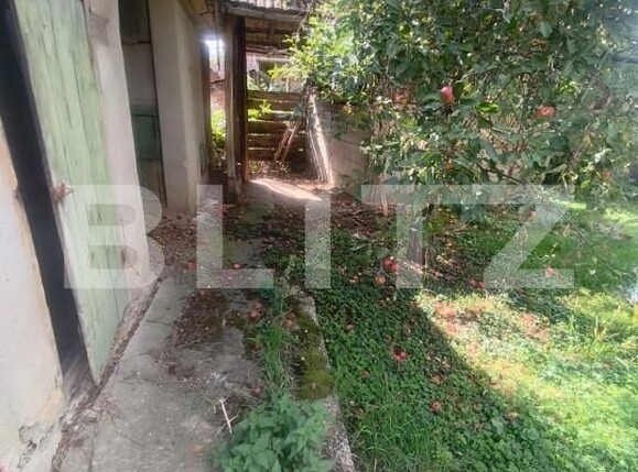 Casa de vânzare 3 camere Ocna Mures - 207269CV | BLITZ Alba Iulia | Poza8