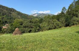 Teren intravilan, 6505 mp, zona Ocolis