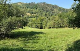 Teren intravilan, 6505 mp, zona Ocolis